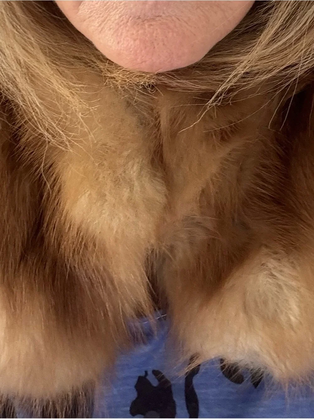 Vintage Brown Fox Fur Collar Neck Wrap